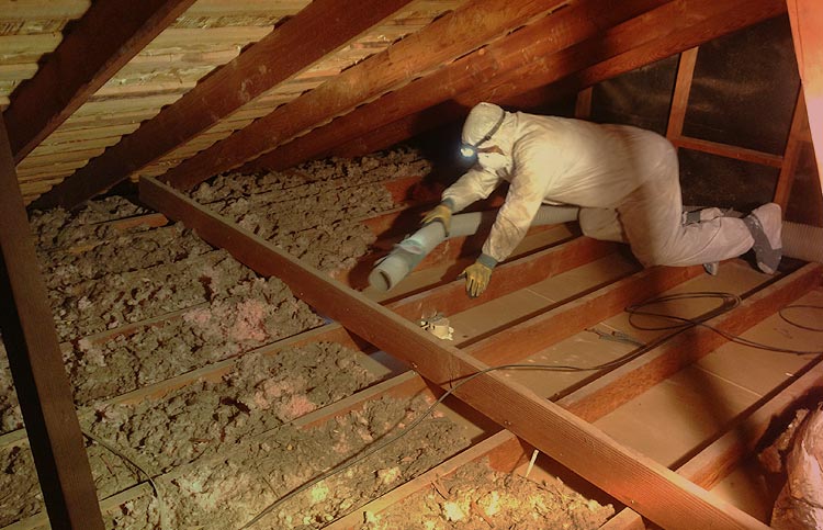 Attic cleaning